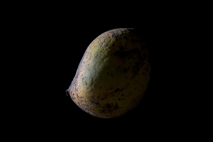 Photo d'une mangue sur fond noir photo de jerome barrier