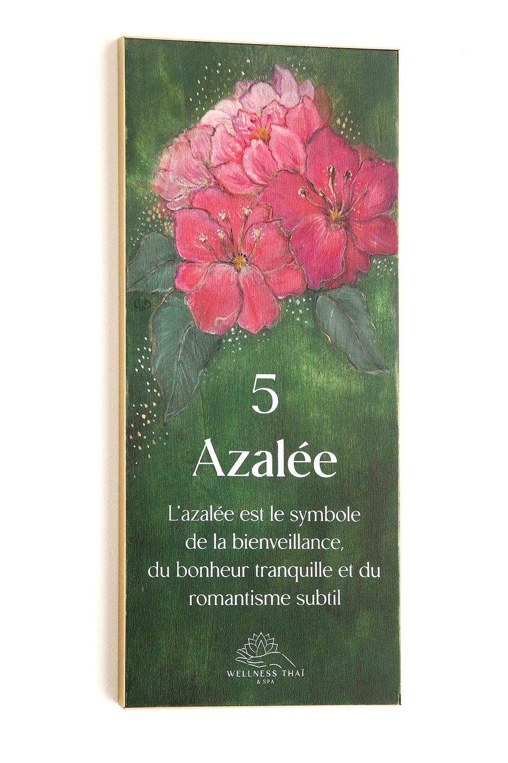 Signalétique du Wellness Thaï & Spa imaginé par Jérôme Barrier. 12 peintures originales peintes par l'artiste Céline Delaire et sérigraphiées par l'Atelier Parades. Cabine 5 Azale.